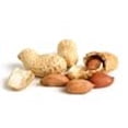 thumbnail image 2 of Bulk Roasted And Salted Peanuts 25 Pound Wholesale Box - Fresh New Nuts, 2 of 5
