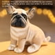 thumbnail image 5 of Vogacara Juguetes para mascotas PP algodón relleno suave Animal muñeca lavable niño juguete niñas cumpleaños fiesta amigos regalos almohada Animales de peluche y juguetes de peluche Tipo 6 Sentado, 5 of 6