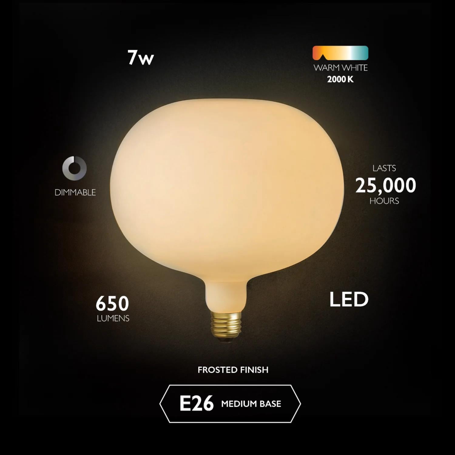 Globe Electric Decorative E26 (Medium) LED Bulb Cool White 7 Watt Equivalence 1 pk