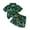 Green, variant on ZACPNCV Toddler Boy Hawaiian Shorts Set Tropical Floral Outfits Casual Button Down Shirt Shorts set Summer Clothes Set 9-12 Months