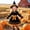 Orange, variant on BRGZLK Girls Witch Costumes Velvet Rufflr Cuffs Long Sleeve Soft Cozy Mini Dress with Hat and Belt , Halloween Wizard Dress Up Outfit Orange 11-12 Years