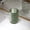 Green, variant on Textured Plastic Mouthwash Cup, Bathroom Toothbrush Holder Tumbler Portable Reusable Toothpaste & Toothbrush Storage Mug for Home Travel Hotel, Clear