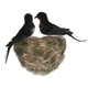 thumbnail image 1 of Adorno de Decorativa Pájaros Accesorios de Teléfono Inteligente Móvil Duradero Sunnimix Pájaro artificial, 1 of 7
