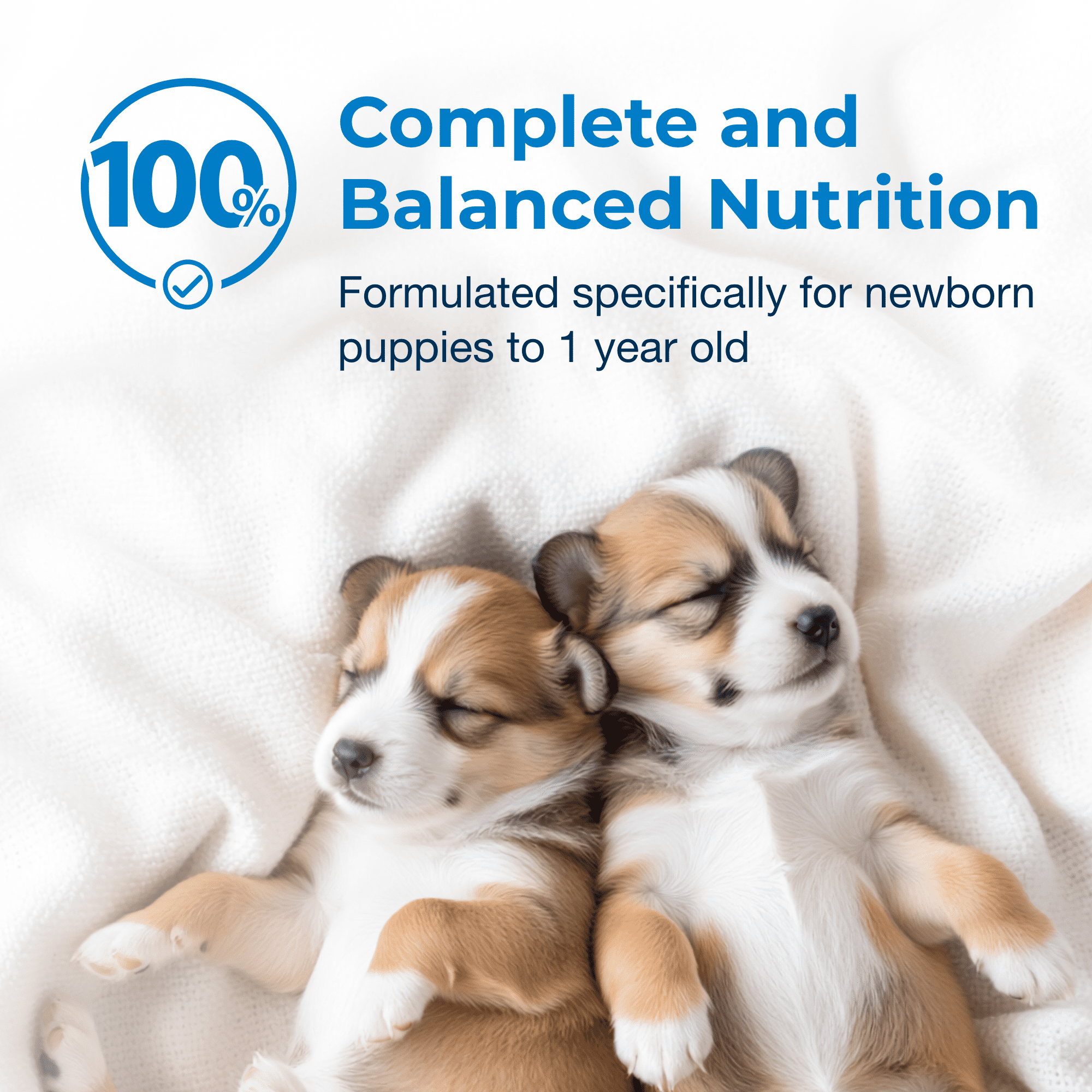 PetAg Esbilac Puppy Milk Replacer Liquid - 16 oz