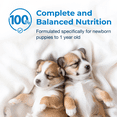 thumbnail image 6 of (12 pack) PetAg Esbilac Puppy Milk Replacer Liquid - 16 oz, 6 of 9