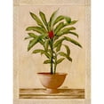 thumbnail image 2 of Welby 19x24 Black Modern Framed Museum Art Print Titled - Potted Palm I, 2 of 4