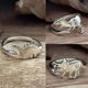 thumbnail image 3 of Anillos de dinosaurio, 4 anillos ajustables de dinosaurio lindo, adorno de dinosaurio, joyas de animales, anillo de dinosaurio de la era jurásica, para mujeres y niñas adolescentes oso de fresa Electrónica, 3 of 5