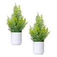 thumbnail image 6 of 2-Pack of 20" Faux Ferns with Real-Touch Leaves in White Ceramic Planters, 6 of 6