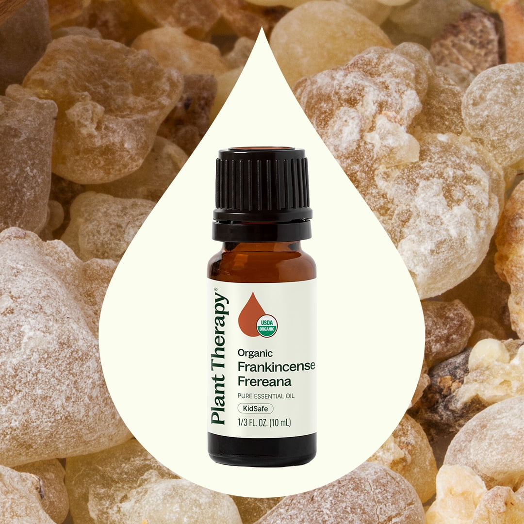 Plant Therapy Frankincense Frereana Organic Essential Oil 100% Pure, USDA Certified Organic, Undiluted 10 mL (1/3 oz)