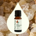 thumbnail image 3 of Plant Therapy Frankincense Frereana Organic Essential Oil 100% Pure, USDA Certified Organic, Undiluted 10 mL (1/3 oz), 3 of 8
