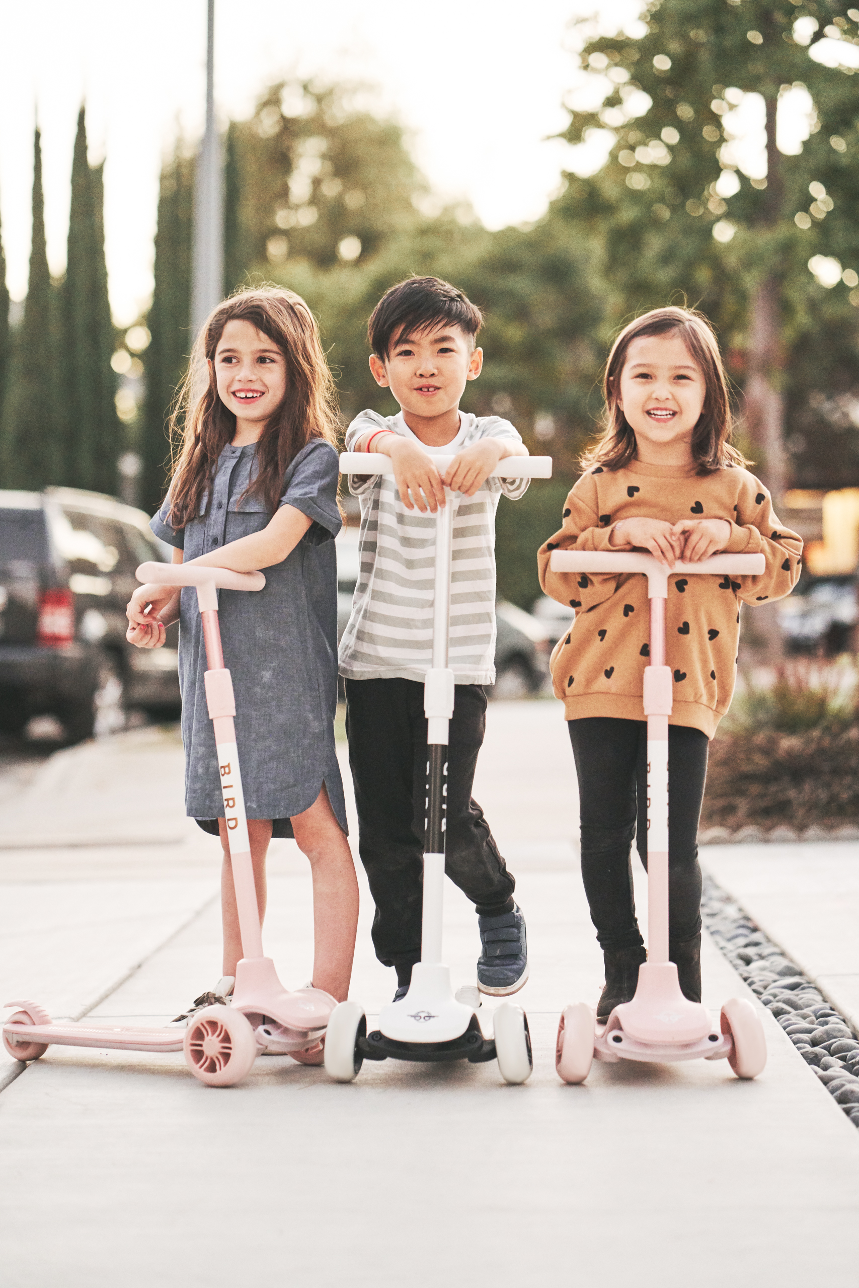 Bird Birdie Kick Scooter for Kids with Adjustable Height Handle, Electric Rose