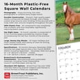 thumbnail image 6 of Clydesdales | 2026 12x24" (Hanging) Square Wall Calendar | Plastic-Free, 6 of 9