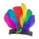 thumbnail image 1 of Diadema de plumas decorativa elegante tocado de plumas para fiesta carnaval cosplay Multicolor, 1 of 9