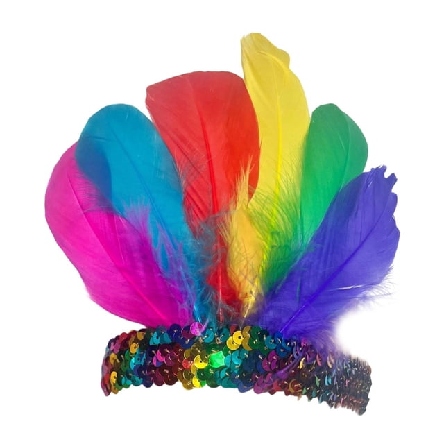 Diadema de plumas, accesorio fotográfico, tocado para presentaciones en el escenario, carnaval, festival Multicolor