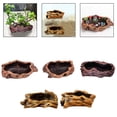 thumbnail image 4 of Creative Retro Cement Material Tree Succulent Flowerpot Green Plant Potted Plant Style 4, 4 of 8