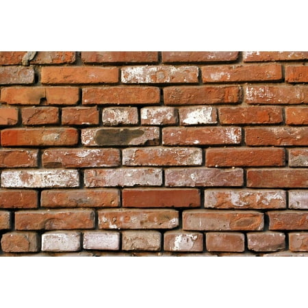 Acrylic Face Mounted Prints Wall  Used Bricks  Brick  