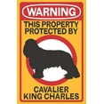 thumbnail image 3 of Cavalier King Charles, Warning (100% Cotton Tea Towel, Decorative Hand Towel, Kitchen and Home), 3 of 3