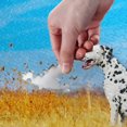 thumbnail image 4 of Dreamtimes Beautiful Dalmatian Dog in Field Puzzle for Adults 1000 Piece Puzzles Game DIY Toys Creative Gift Home Decorations, 4 of 7