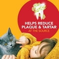 thumbnail image 5 of Petrodex Dental Care Kit for Cats, Malt Flavored Toothpaste, 5 of 5