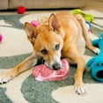 thumbnail image 5 of Pet Sounding Toy for Cats and Dogs - Chewable Steak Design with Built-In Sound Mechanism for, 5 of 6