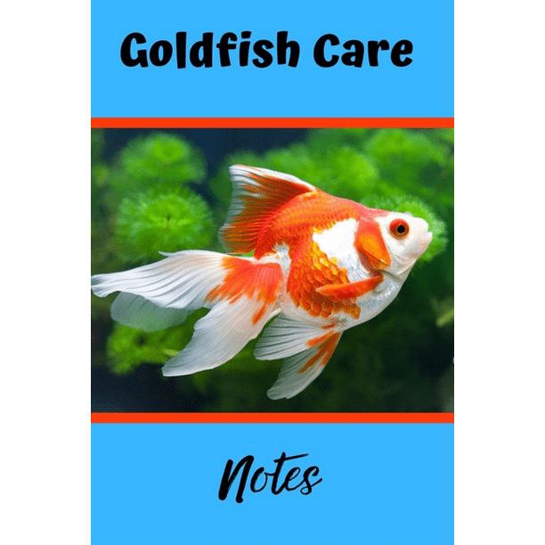 85 Best Seller Aquarium Fish Keeping Book Pdf for Kids