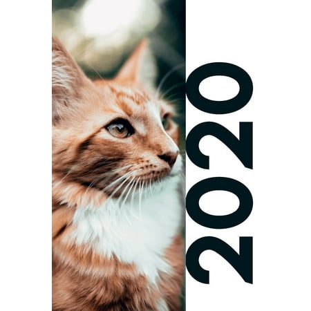 Christmas Quiz For Students 2020: Cat themed stocking stuffers convenient Planner Calendar Organizer Daily Weekly Monthly Student Diary for researching christmas gift ideas for cats (Paperback) ()