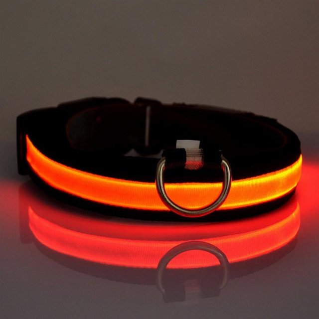 2022 Latest Safety LED Dog Collar – USB Rechargeable with Water Resistant Flashing Light Orange