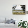 thumbnail image 3 of Trademark Fine Art 'Pacific Northwest Oregon X' Canvas Art by Adam Mead, 3 of 4