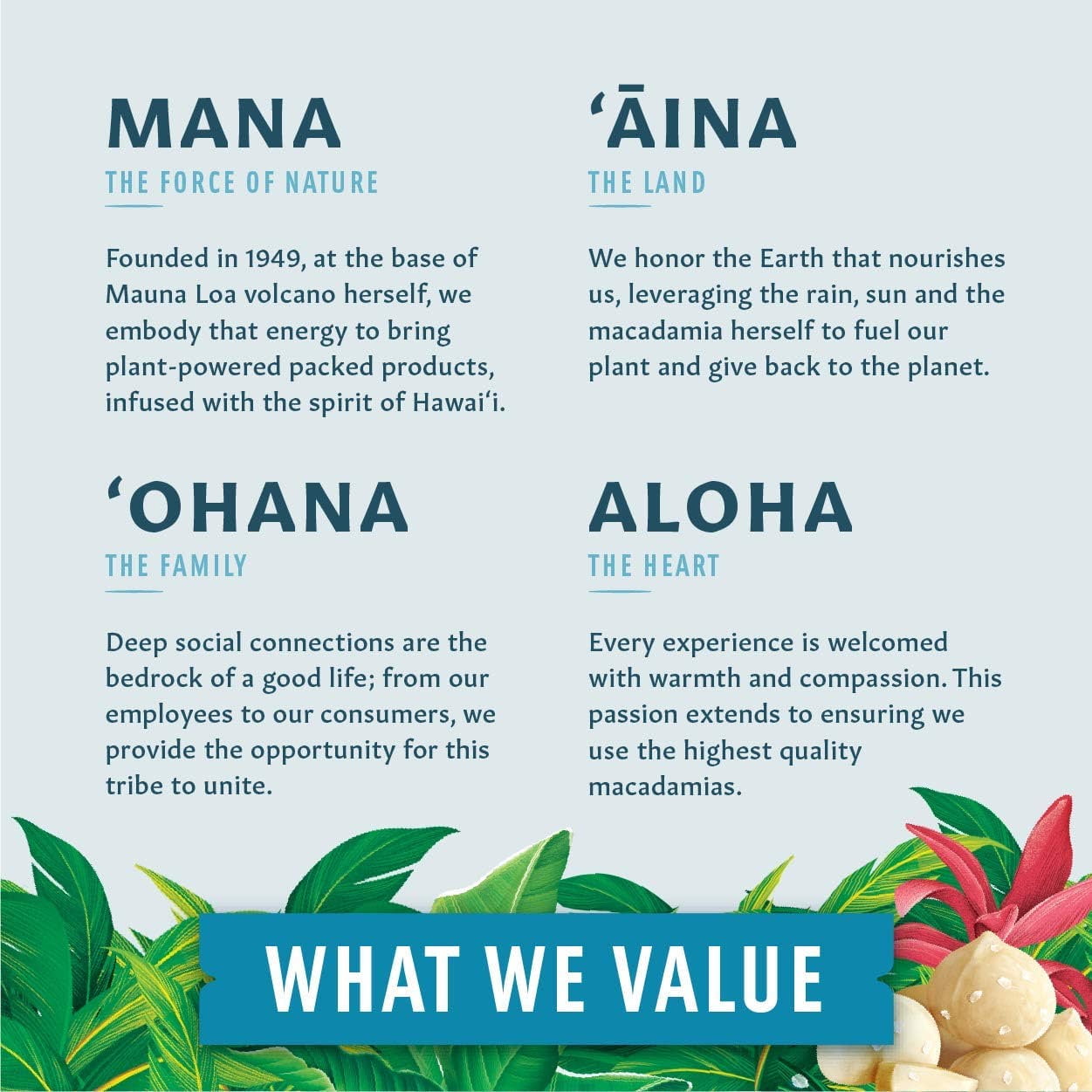 Mauna Loa Premium Hawaiian Chocolate Covered Macadamia Nuts, Wanderlust Collection, Sweet and Savory, Cocoa Dusted, Assorted (Pack of 6)