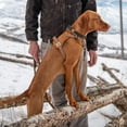 thumbnail image 5 of Arnés para perros Carhartt Gear P0000486 de nailon con forma de pato, sin tirón, 5 of 5