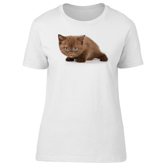 Fluffy Kitten British Cat, Kitty T-Shirt Women -Image by Shutterstock, Female x-Large