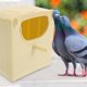 thumbnail image 4 of Milisten 3Ud Caja De Cría Para Pájaros Beige Colgante Práctico Para Jardín Y Espacio Cómodo, 4 of 7