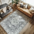 thumbnail image 7 of RUGKING Area Rug 3x5 Persian Rug Washable Vintage Mat Indoor Non-slip Carpet Grey Low pile Accent Rug for Kitchen Living Room Bedroom Dining Room, 7 of 7