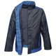 thumbnail image 1 of Regatta - Chaqueta Acolchada Contraste para Hombre (Marino, Azul Real) Regatta UTRW6518_navynewroyalblue, 1 of 4