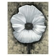 thumbnail image 2 of Unknown 15x18 White Modern Wood Framed Museum Art Print Titled - Poppies II, 2 of 4