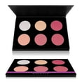 thumbnail image 2 of SHANY Shimmer & Matte Blush/Highlighter Face Palette - Layer 4 - Refill for the 6 Layer Mini Masterpiece Collection Makeup Set, 2 of 5
