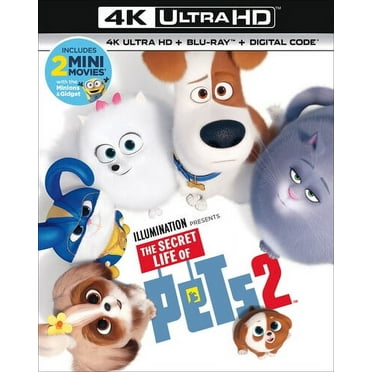 The Secret Life of Pets 2 (Other)
