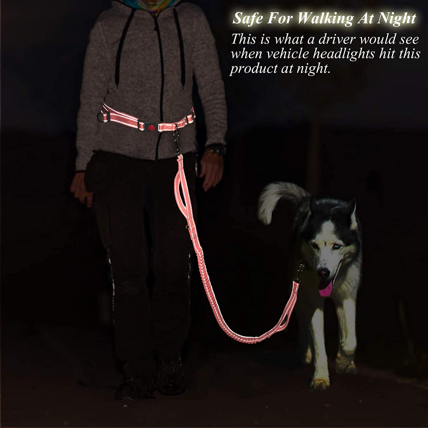 VIVAGLORY Hands Free Dog Leash with Wavelength Bungee for Small Medium and Large Dogs Dual Handles Reflective Waist Leash for Training Running Walking 