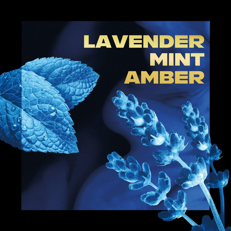 AXE デオドラントスティック BLUE LAVENDER 85g Amazon.com : AXE Fine Fragrance Collection Deodorant Stick