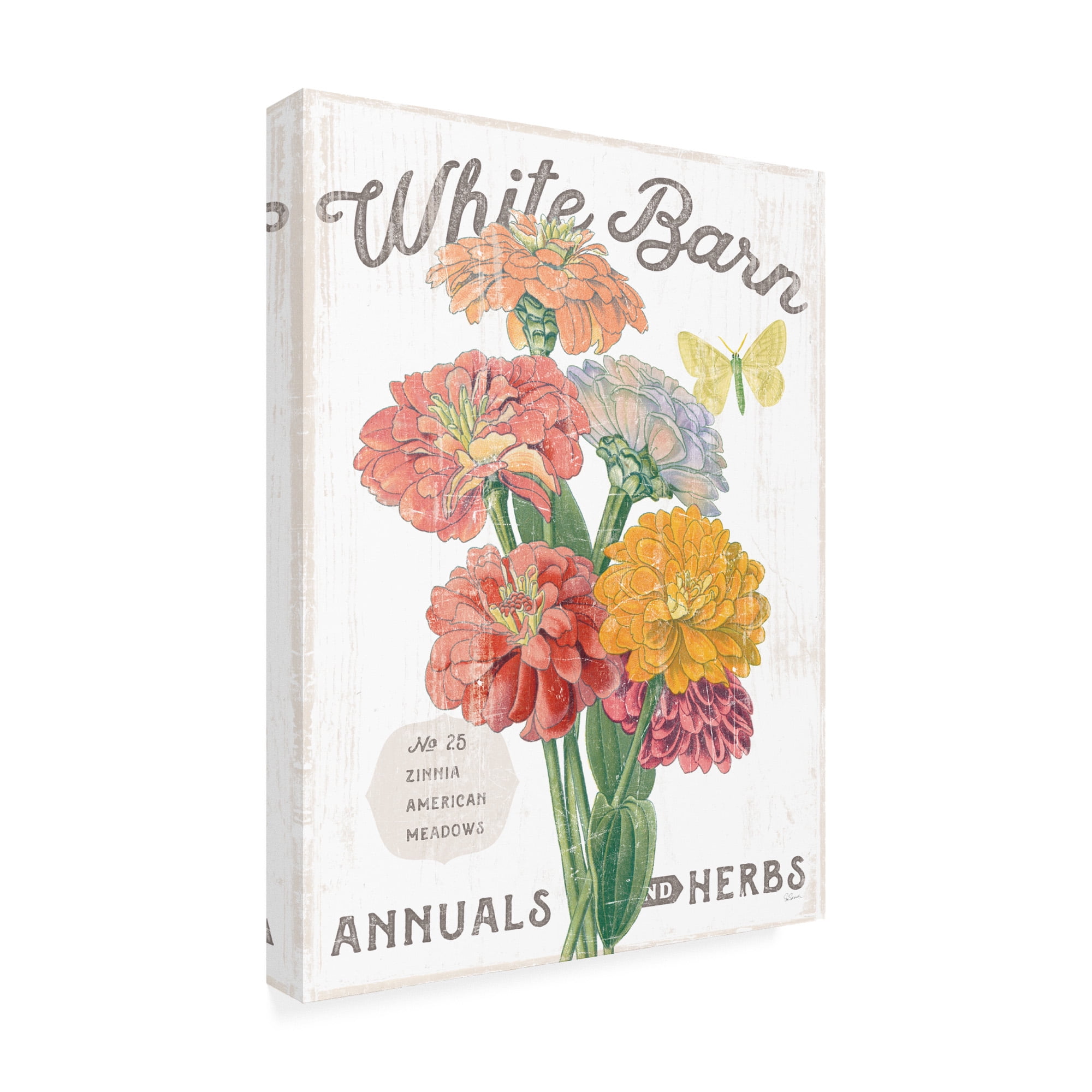 Trademark Fine Art 'White Barn Flowers V' Canvas Art by Sue Schlabach