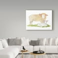 thumbnail image 3 of Trademark Fine Art 'Life on the Farm Animal Element III' Canvas Art by Kathleen Parr McKenna, 3 of 3
