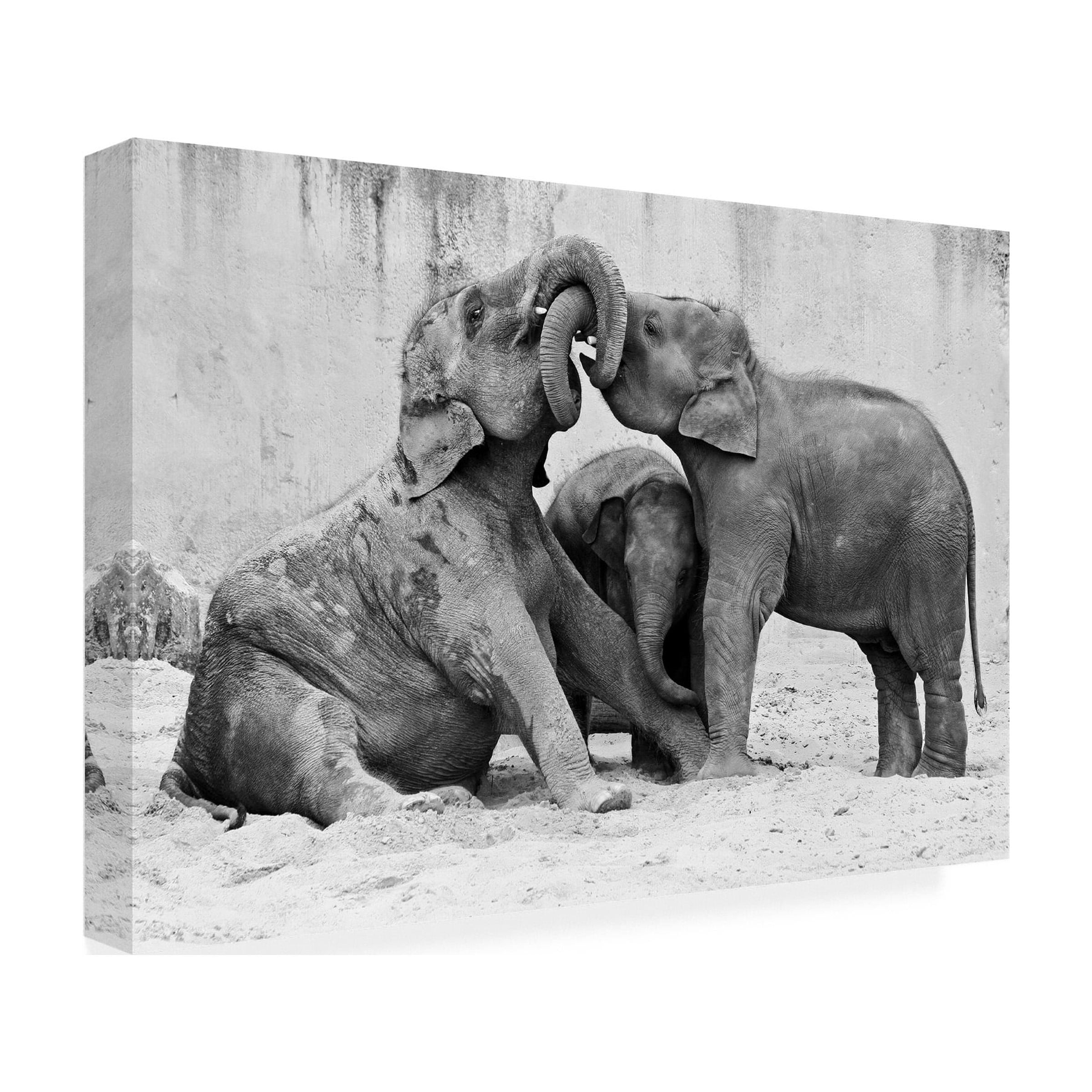 Antje Wenner Braun 'Ma�Nage A� Trois' Canvas Art