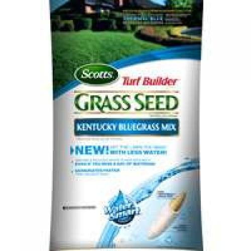 Walmart Inventory Checker BrickSeek