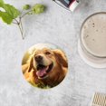 thumbnail image 4 of BaHomeck Drink Coasters Set of 4 with Holder golden retriever dog laying on the grass Water Absorbent Ceramic Coasters Tabletop Protection,Suitable for Various Cup ,Home Decor, 4 of 4
