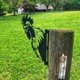thumbnail image 4 of Art Hanging Metal Peeping Chickens Ornaments Outdoor Garden Adornment Decoration, 4 of 8
