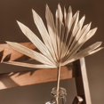 thumbnail image 4 of Ramo seco secas, decoración de grandes ramas de plantas bohemias de , ramo tropical para aniversario, jarrón piezas 65 cm Fanmusic Ramo seco, 4 of 7