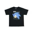 thumbnail image 4 of Sonic The Hedgehog Boys' Supersonic Speedster Checked Character T-Shirt, 4 of 5