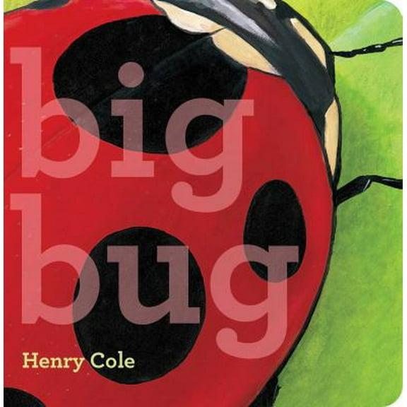 Pre-Owned Big Bug (Board book) 1534416900 9781534416901