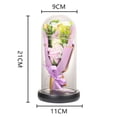 thumbnail image 3 of POINTERTECK --- Rose In Glass Dome With Fairy Light String  Valentine Rose Gift Girlfriend  Mother‘s Day Gifts, 3 of 3
