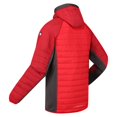 thumbnail image 4 of Regatta Mens Trutton Hooded Soft Shell Jacket, 4 of 5